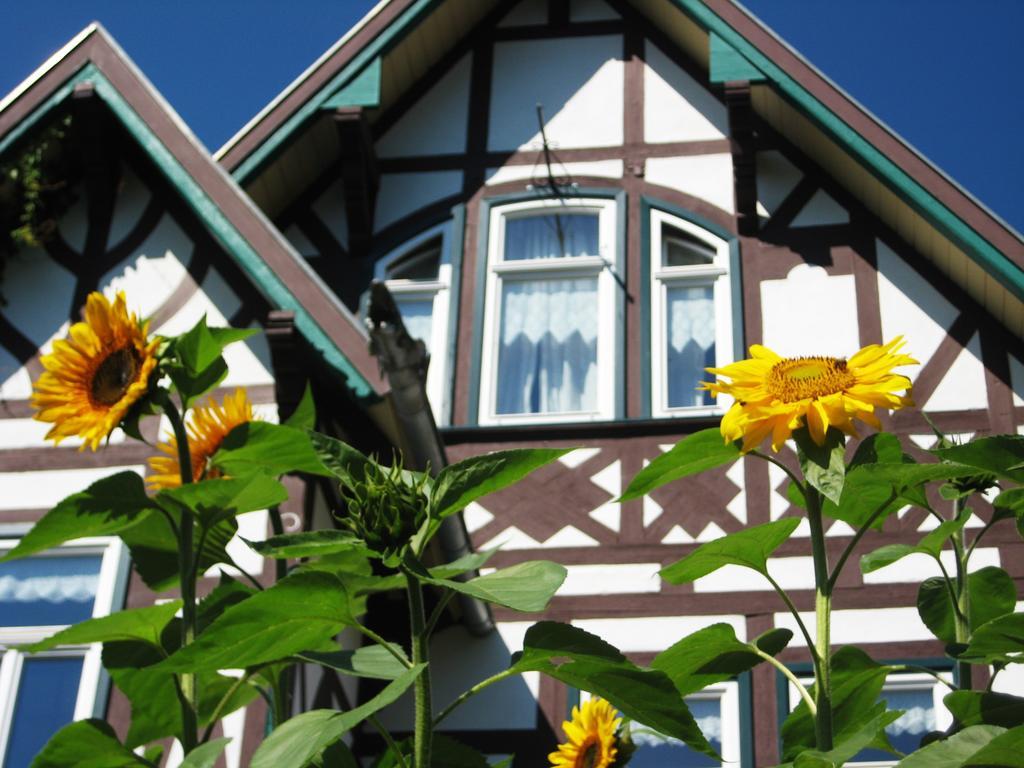 Hotel Villa Rossek Бад Либенщайн Екстериор снимка